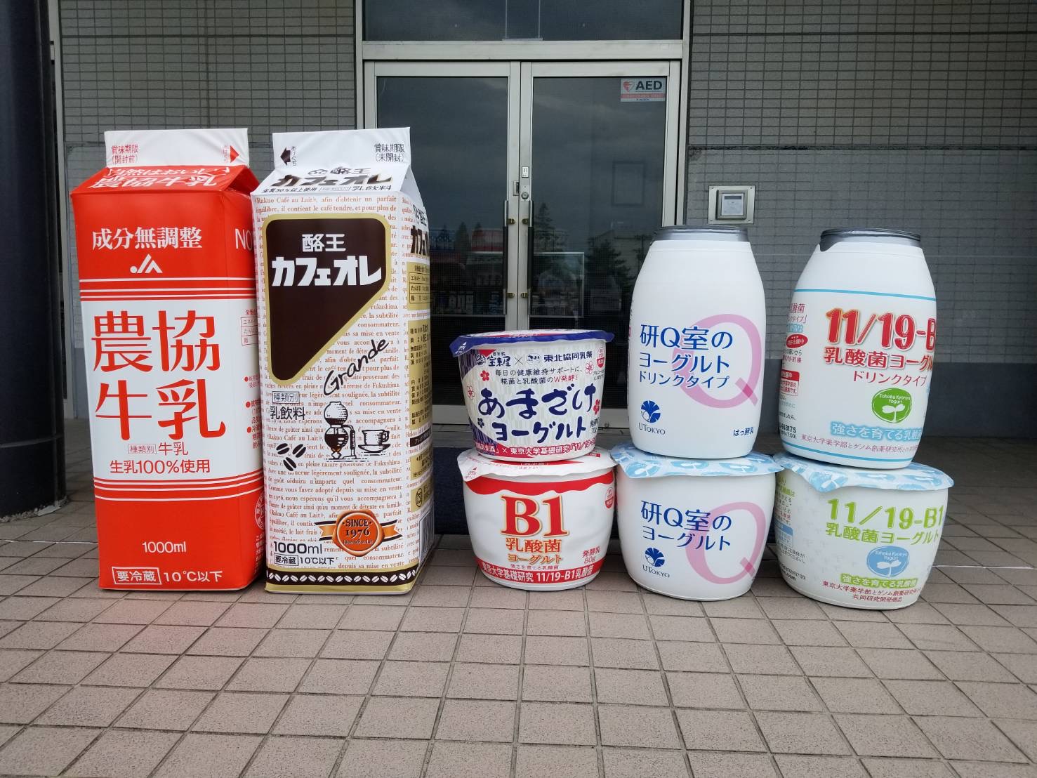 酪王カフェオレ・特大ダミー完成！｜酪王協同乳業株式会社